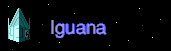 Iguana